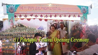 11 Pineapple Festival Opening Ceremony 2018