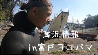 [伊豆ダイビング]海況情報動画で発信！本日のヨコバマ調査です！