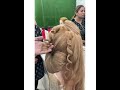 Massy bridal hairstyle || shaan creative academy