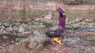 Locally brewed liquor being made by a tribal woman in Nimkhedi valley, Nandurbar