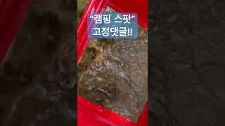 다슬기 쓸어담을 수 있는 캠핑 스팟?! #shorts #캠핑 #계곡