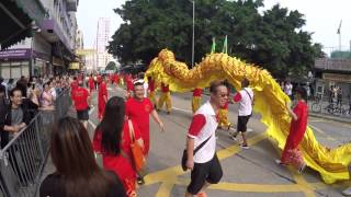 2016元朗屏山鄉鯉魚山天后寶誕 橫洲東頭圍青年團