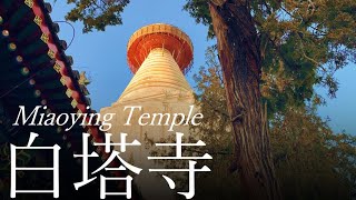 【北京市/Beijing】白塔寺 (妙应寺白塔) 2024.12.27