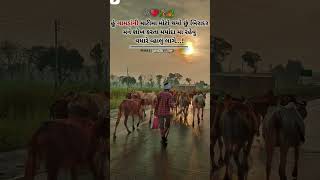 સાચી વાત છે બિરાદર❤️