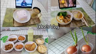 Vlog4 | 生活日常 Wee's life | 逛夜市 | 简单做料理 | 懒人料理 | Night market foods