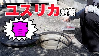 春はユスリカ対策から！ユスリカ幼虫対策！ユスリカ駆除方 法琵琶湖虫対策 蚊柱対策