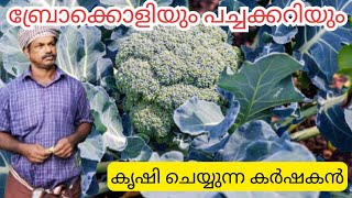 ശിതകാലപച്ചക്കറിയും പിന്നെ കർഷകനും#keralafarmers #kerala #agriculturefarming #vegetablegarden #2025