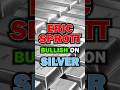 Eric Sprott Silver Target $1000 #silver #gold #investing