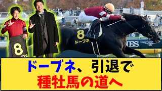 【競馬】「【速報】ドーブネ、引退で種牡馬の道へ」に対する反応【反応集】