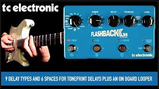 Tc Electronic Flashback 2 x4