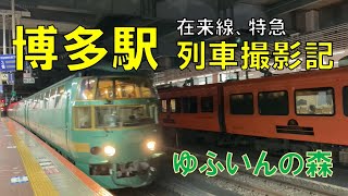 【博多駅】在来線、特急　列車撮影記　ゆふいんの森も到着