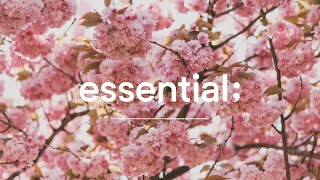 [Playlist] 킁킁, 어디서 꽃 냄새 안나요? 🌸ㅣ벚꽃이 만개한 봄! 핑크빛 팝 플레이리스트ㅣcherry blossom spring pop 🌸