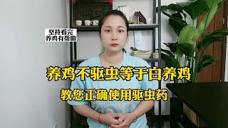 养鸡不驱虫等于白养鸡，散养土鸡要定期正确的驱虫。养鸡人必收藏