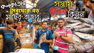 পদ্মার বিখ্যাত ইলিশ কিনতে গেলাম 🐟 Patipukur Fish Market | Largest Fish Market in Kolkata | Vlog #196