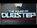 01 - Where's My Money (Capsa Remix) - The Sound of Dubstep 1