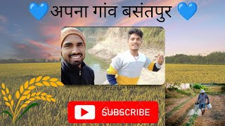 #vlog अपना गांव बसंतपुर।। dekhiye kaise kisan mehnat karte hai #basantpur #video #khetibadi