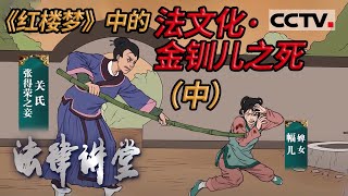 《法律讲堂(文史版)》红楼梦中的法文化·金钏儿之死（中）20210427 | CCTV社会与法