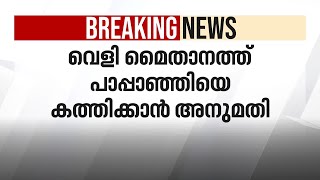 ഫോർട്ട് കൊച്ചി വെളി മൈതാനത്ത് പാപ്പാഞ്ഞികളെ കത്തിക്കാൻ അനുമതി