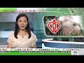 無綫00 30 新聞報道 tvb news｜2023年5月4日｜南韓議員披國旗登獨島 日方提抗議被駁回｜據報北約擬東京設首個亞洲聯絡處｜伊朗總統訪敘利亞 分析指中國成功斡旋沙特伊朗復交有利區內外交氣氛