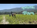 သၢဝ်ဝၢၼ်ႈၼွၵ်ႈ လႄႈ သၢဝ်ၼႂ်းဝဵင်း