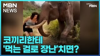 [인터넷 와글와글] 코끼리한테 '먹는 걸로 장난'치면? [굿모닝 MBN]