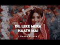 dil leke mera haath mein slowed u0026 reverb