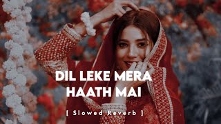 Dil Leke Mera Haath Mein ( Slowed & Reverb )