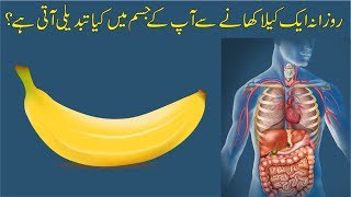 What Does Your Body Change From Eating A Banana Daily?(روزانہ ایک کیلا کھانا)(Urdu/Hindi)Urdu Taleem