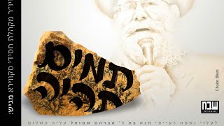 Tumim Tiyeh [Vocal] • Shea Breuer feat. Moshe Eisenberg • תמים תהיה • שיע ברויער מארח משה אייזנבערג