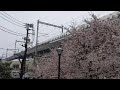 2020年3月29日　雪、桜、新幹線