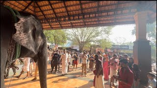 ശ്രീ ത്രിപുരാന്തക ക്ഷേത്ര സന്നിധിയിൽ തോഴുത് വണങ്ങി  കാവേരി