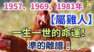 1957年、1969年、1981年的屬雞人的一生一世的命運！準的離譜！