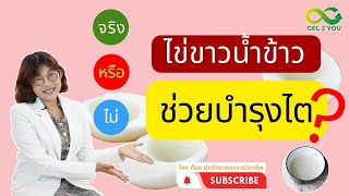 ไข่ขาว น้ำข้าว บำรุง ไตเสื่อม จริงหรือไม่