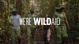 We're WildAid - Intro 2024