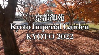 Autumn leaves of Kyoto Imperial Garden 2022