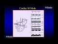 multi modality conference basics of echocardiography physics william a. zoghbi md