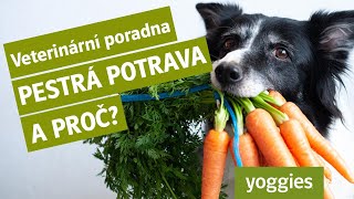 Yoggies | Veterinární poradna - Pestrá strava