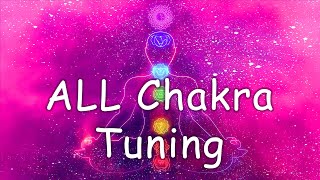 Primal Rhythms CHAKRA 30 minute ALL Chakra Tuner