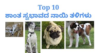 Top 10 ಶಾಂತ ಸ್ವಭಾವದ ನಾಯಿ ತಳಿಗಳು | Top 10 calmest dog breeds