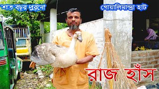 কম দামে পেয়ে যাবেন হাঁস-মুরগি এবং রাজহাঁস | Village market @bazarhat01