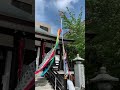 屋根より高い鯉のぼり🎏