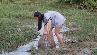 Amazing Smart Girl Catch A Lot of Fish at Siemreap - Easy Catch Fish 2017 Part 04
