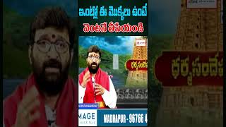 ఇంట్లో ఈ మొక్కలు ఉంటే  వెంటనే తీసేయండి | OM CVR SPIRITUAL