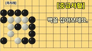 [147] 중급사활 / 좋은 수순으로 백을 잡아보세요.