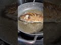 Satisfying ASMR fried fish #satisfying #asmr #fish #friedfish #tilapia #shortsvideo