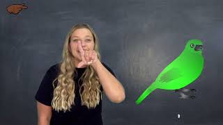 Green/ G Handshape Story