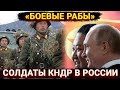 «Боевые рабы» - солдаты КНДР на службе Кремля или Киев за 3 дня 2.0