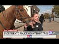 meet sacramento police s mounted patrol