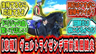 『【悲報】ヴェルトライゼンデ両前浅屈腱炎で長期休養』に対するみんなの反応【競馬の反応集】