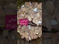 praliné البراليني باللوز والكراميل الوصفة التي يبحث عنها الجميع المغرب هولندا اسبانيا